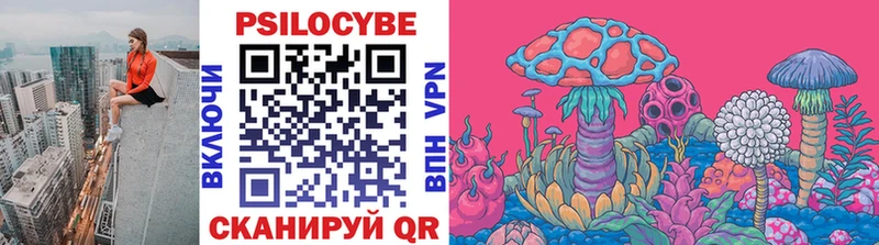 блэк спрут ONION  сколько стоит  Ленинск  Галлюциногенные грибы Psilocybe 